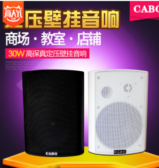 CABO 30W壁挂音响 定压壁挂音箱 室内壁挂喇叭率 背景音乐喇叭