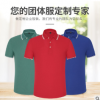 男士纯棉polo衫广告衫T恤批发 短袖翻领企业工作服文化定制印logo