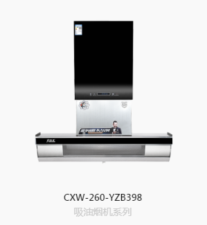 CXW-230-YZB398图3