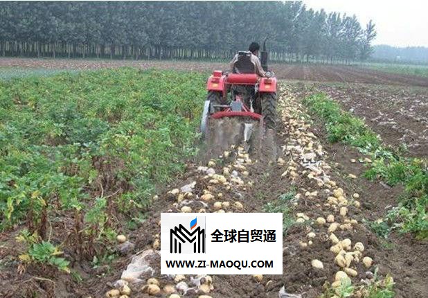 农业机械4UZ600型土豆收获机 山东禹城亚泰机械