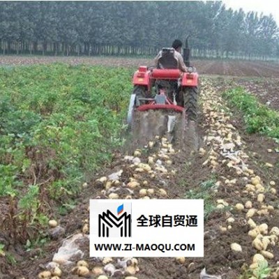 农业机械4UZ600型土豆收获机 山东禹城亚泰机械