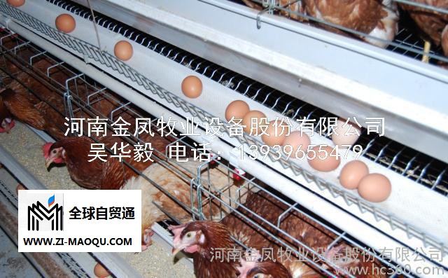 养殖农业机械设备四层阶梯式蛋鸡笼
