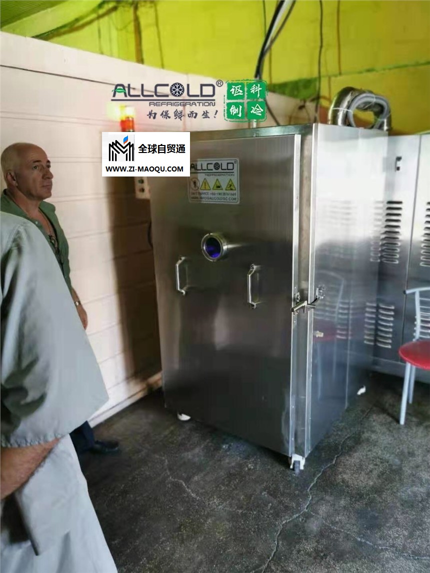 安徽蚌埠500公斤型蔬菜预冷保鲜真空预冷机