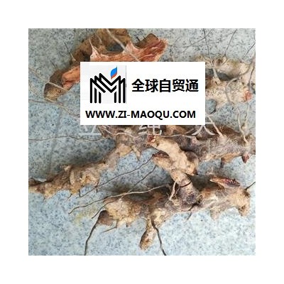 野生新鲜菝葜 菝葜根铁菱角金钢刺根 统货 产地 湖北省黄冈市